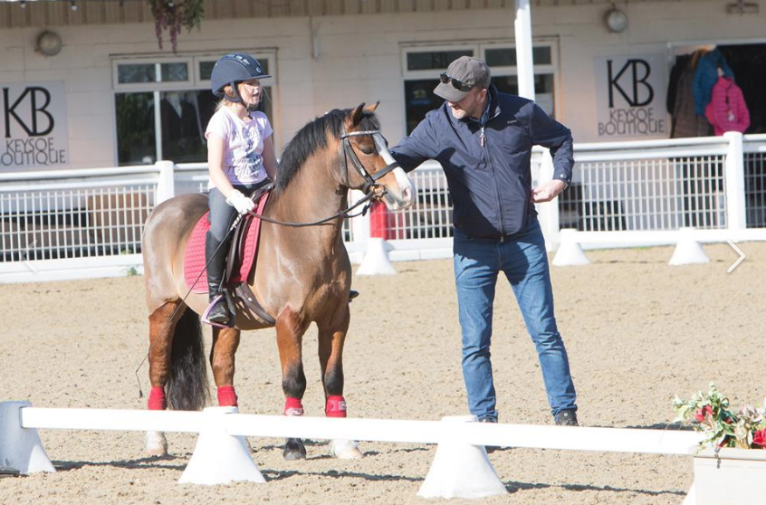 Dressage pony school master